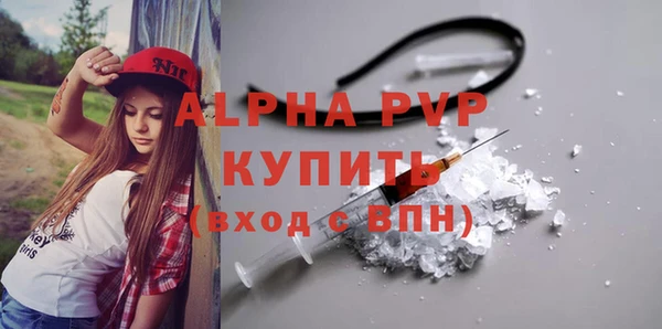 индика Володарск