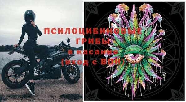 СК Верея