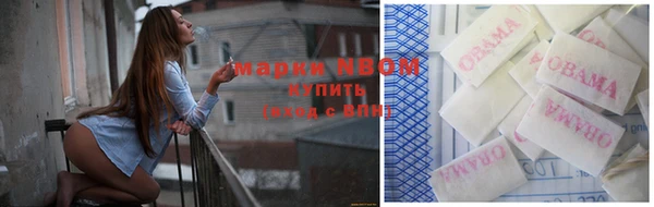 индика Володарск