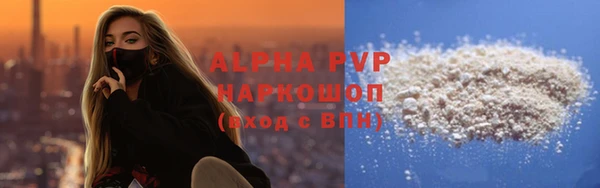 индика Володарск