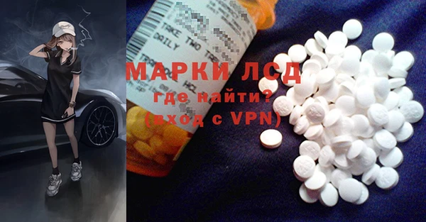 индика Володарск