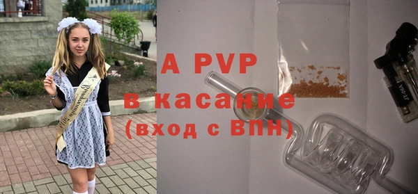 СК Верея